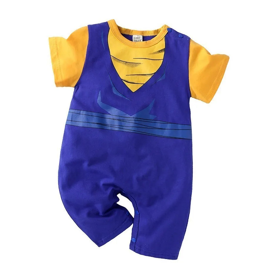 description_selected1