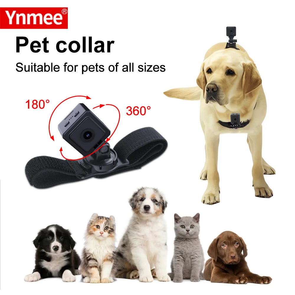 description_selected1