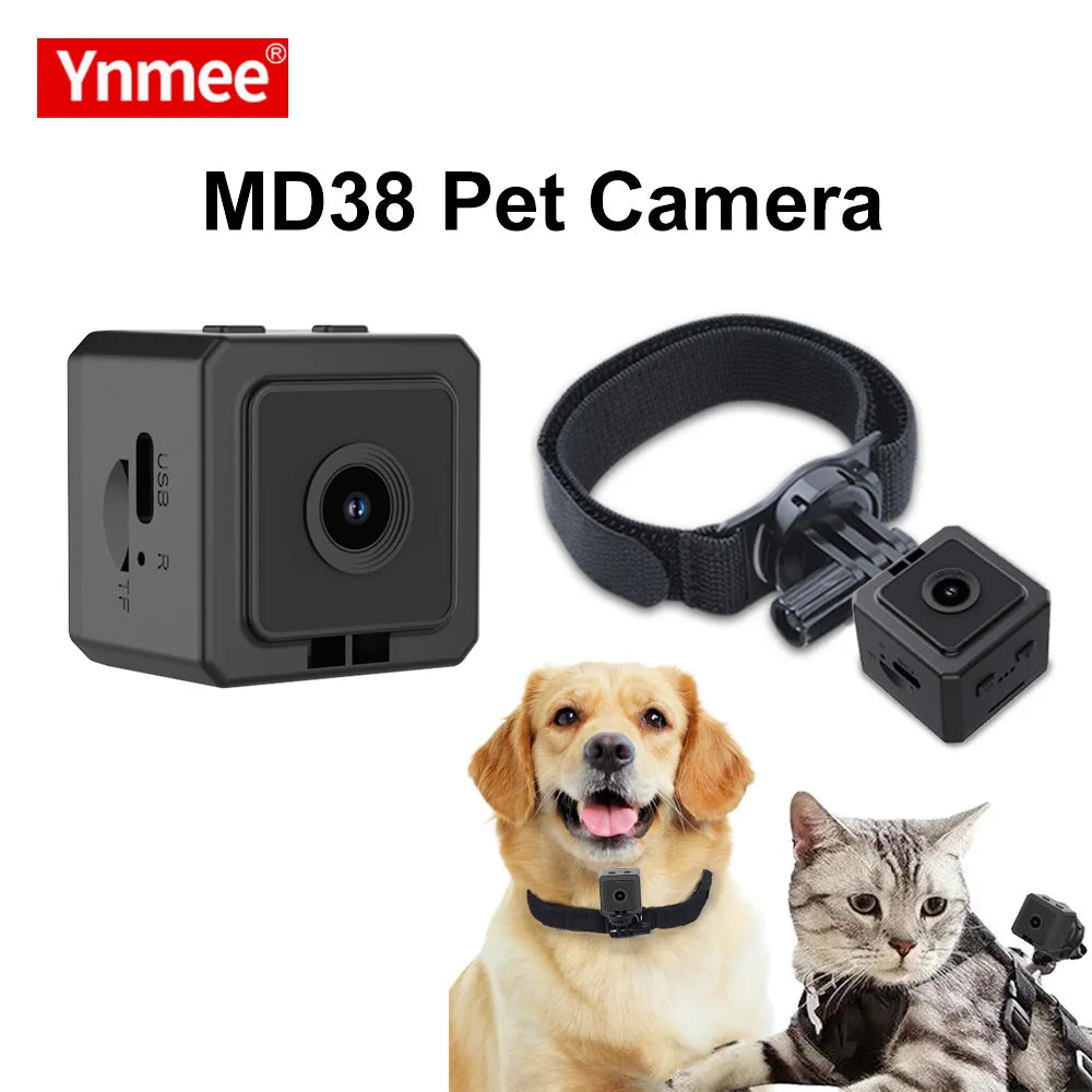 description_selected0